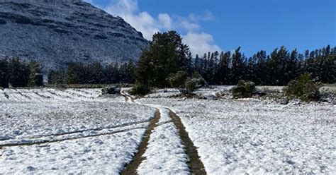 snow in western cape|'Like waking up in the Alps': Heavy rain, snow hits Western Cape .